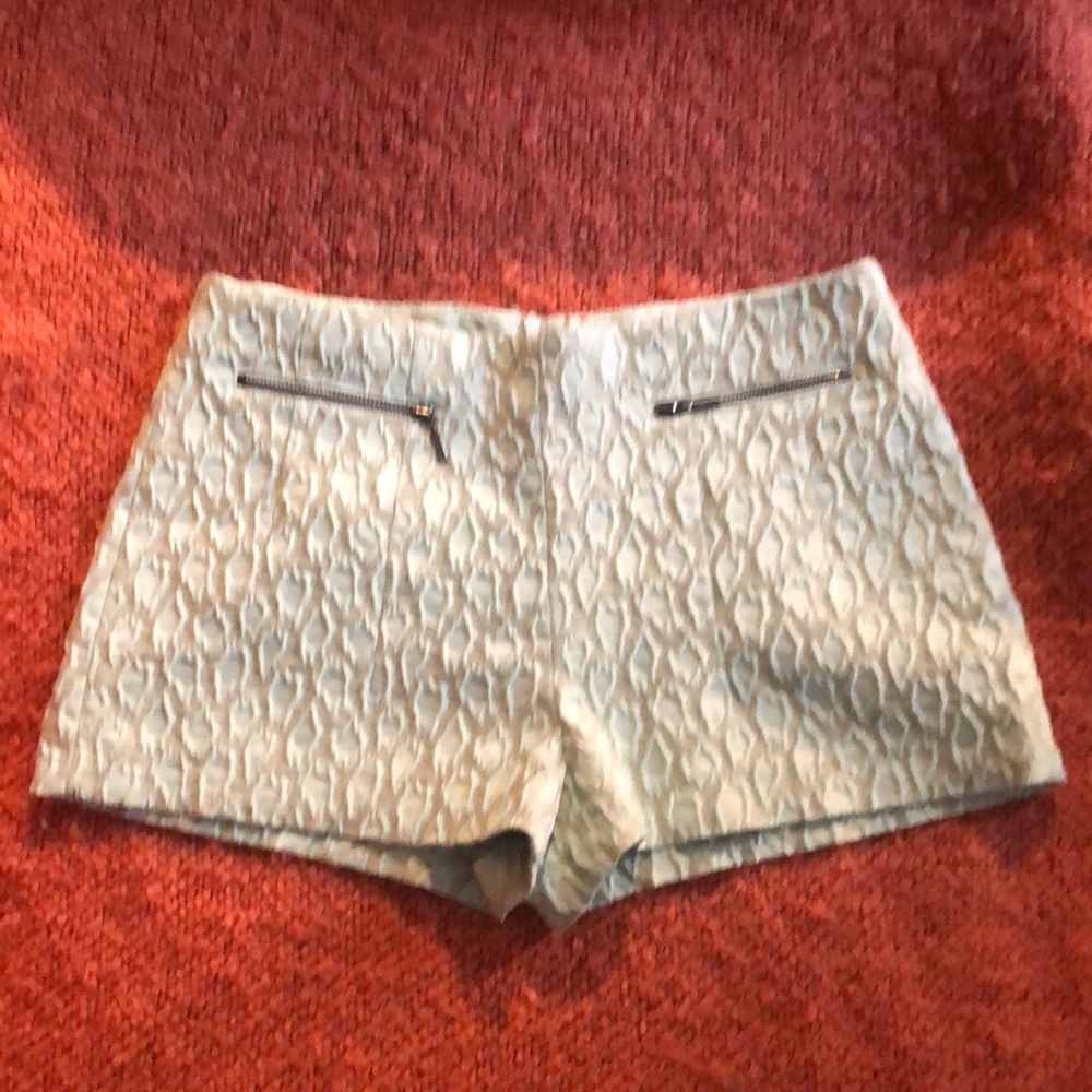 MEDIUM LIGHT BLUE ZARA SHORTS